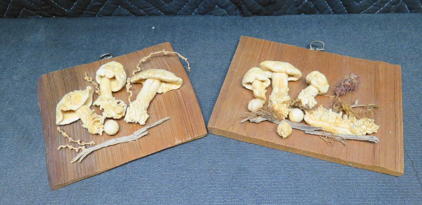 Pair of Mushrooms mounted on Wood Shingle Wall Decor
