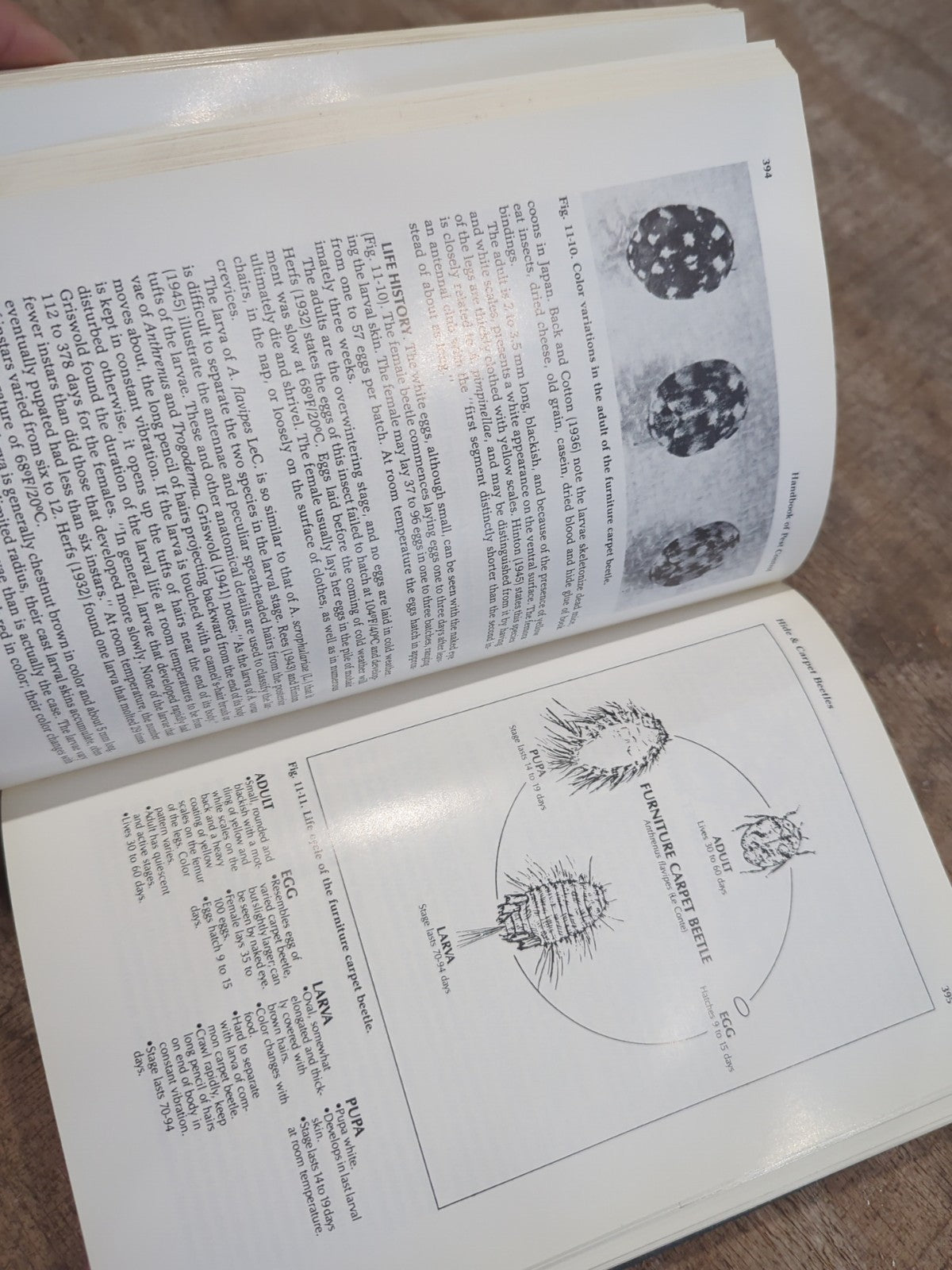 Handbook of Pest Control Arnold Mallis 7th Edition Hardcover HC FREE SHIPPING