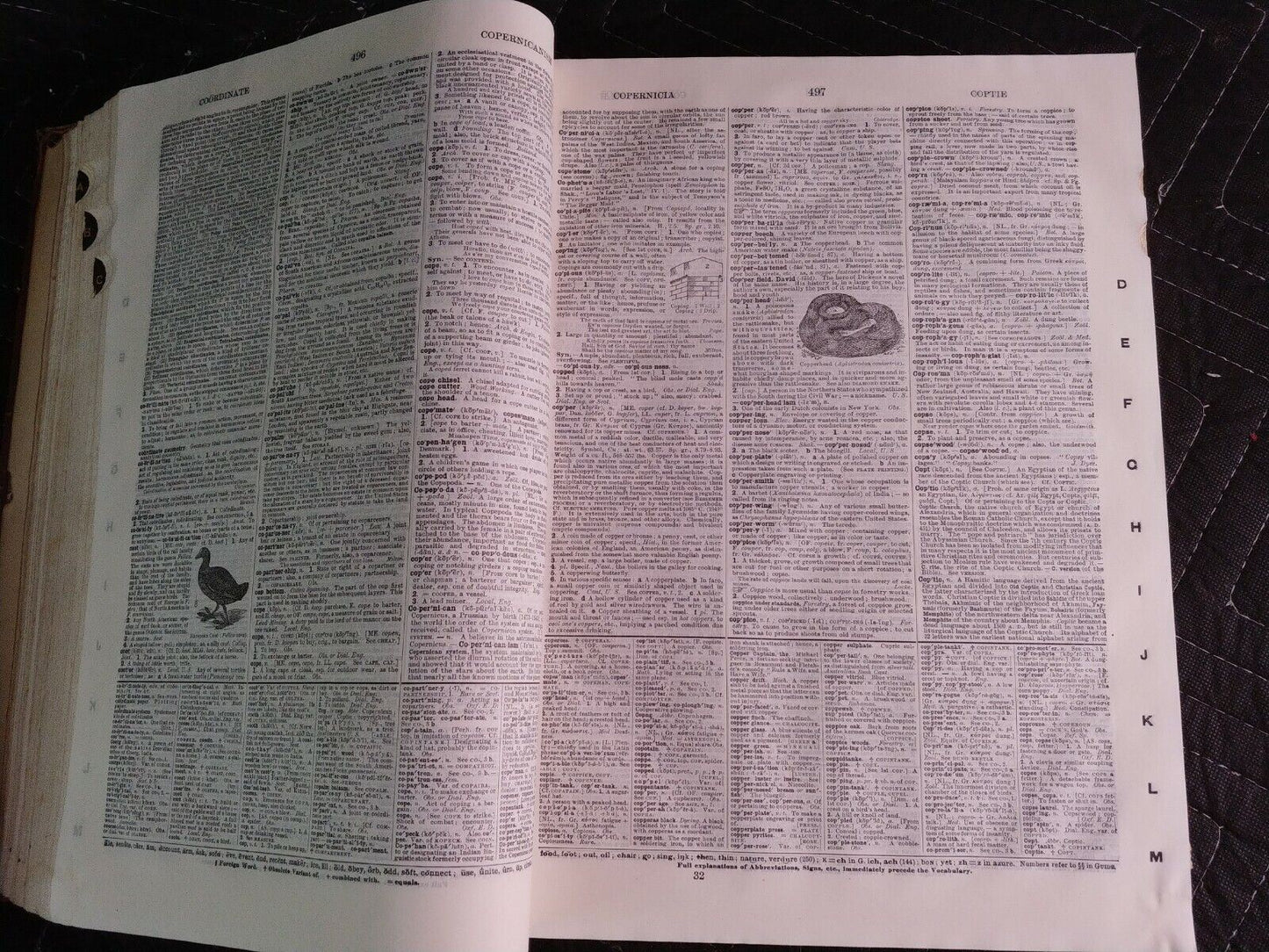 1916 Websters New International Dictionary INDIA PAPER Edition/Reference History