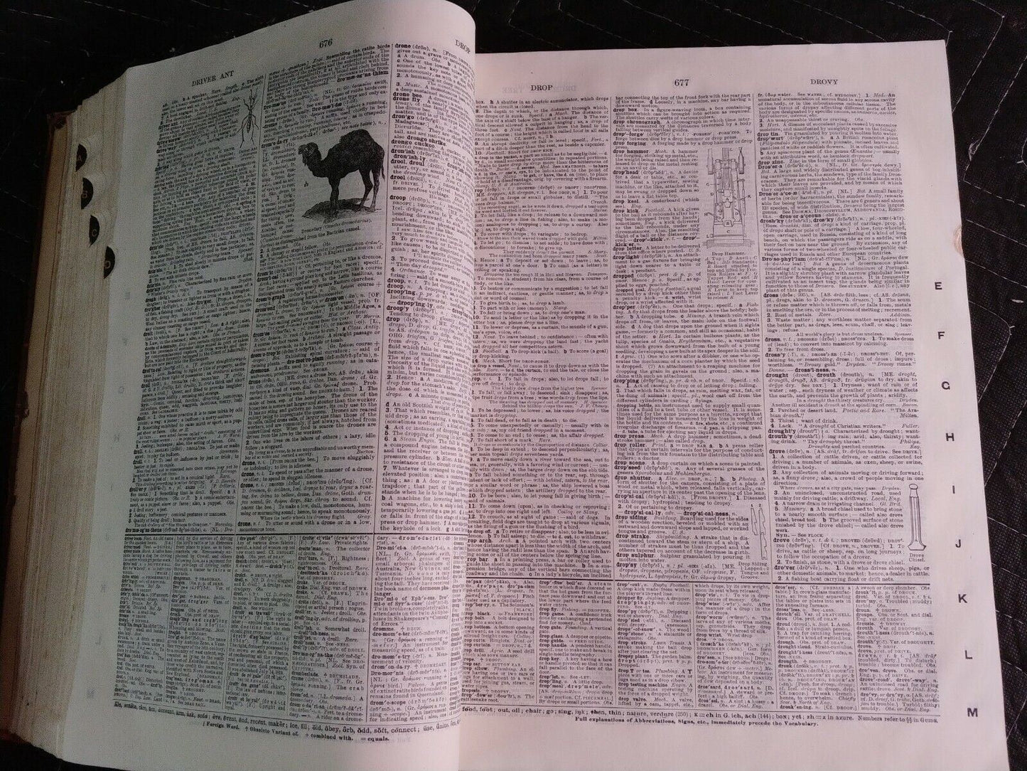 1916 Websters New International Dictionary INDIA PAPER Edition/Reference History