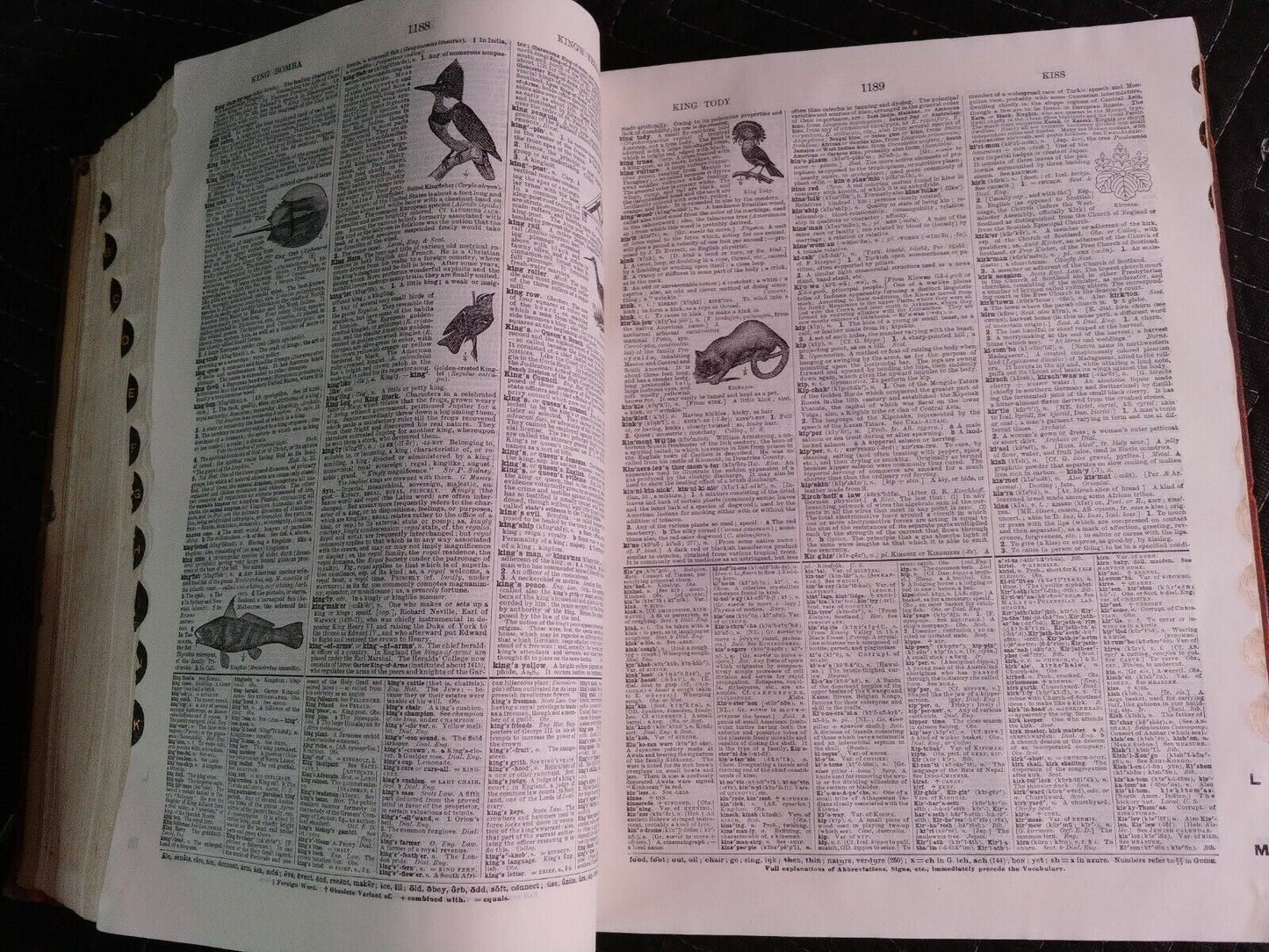 1916 Websters New International Dictionary INDIA PAPER Edition/Reference History