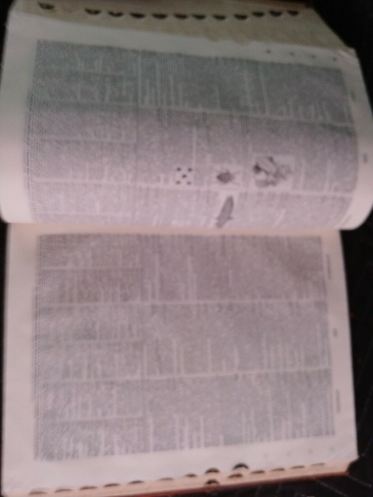 1916 Websters New International Dictionary INDIA PAPER Edition/Reference History