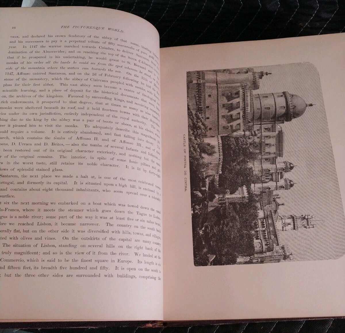 The Picturesque World or Scenes in Many Lands - 1879-1000 Illustrations Antique