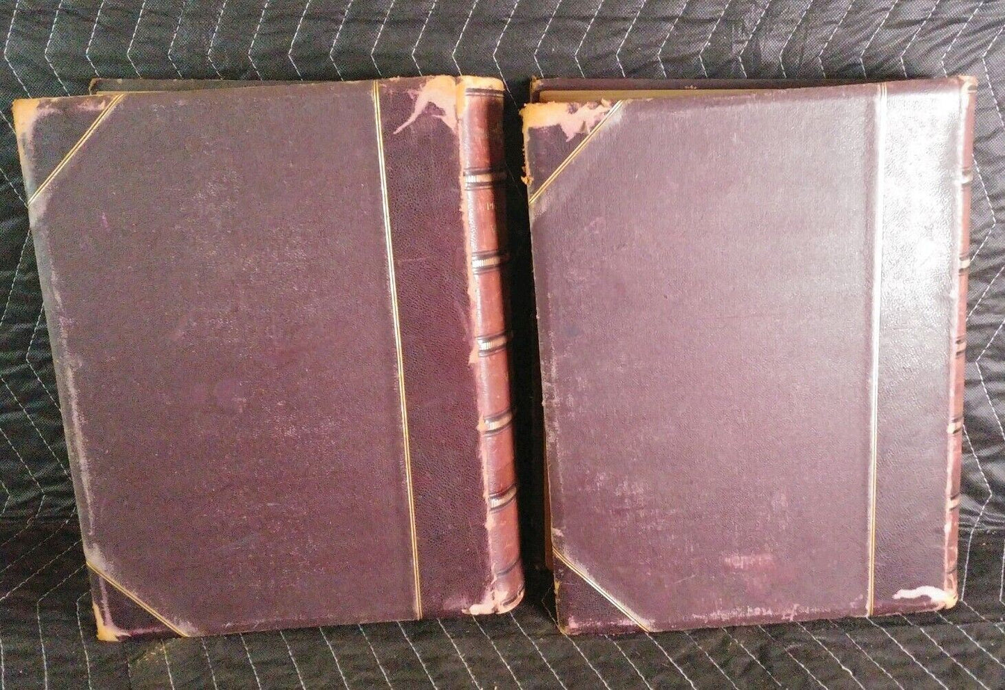 The Picturesque World or Scenes in Many Lands - 1879-1000 Illustrations Antique