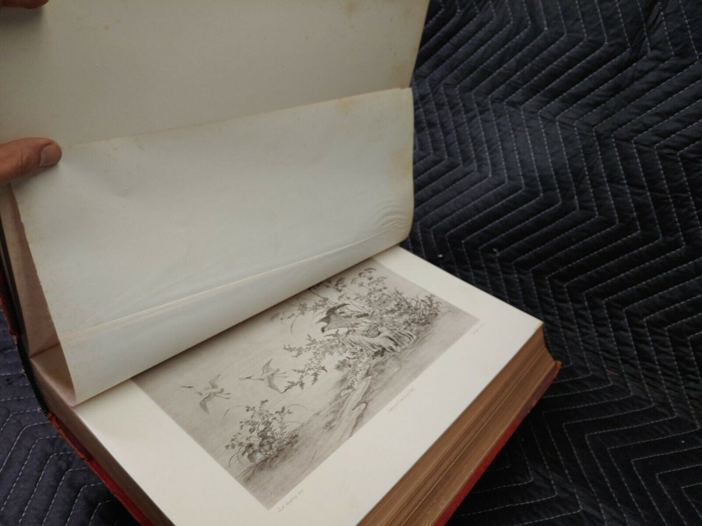 1882 The Ornamental Arts of Japan George Ashdown Audsley Vol 1 and Vol 2 Leather