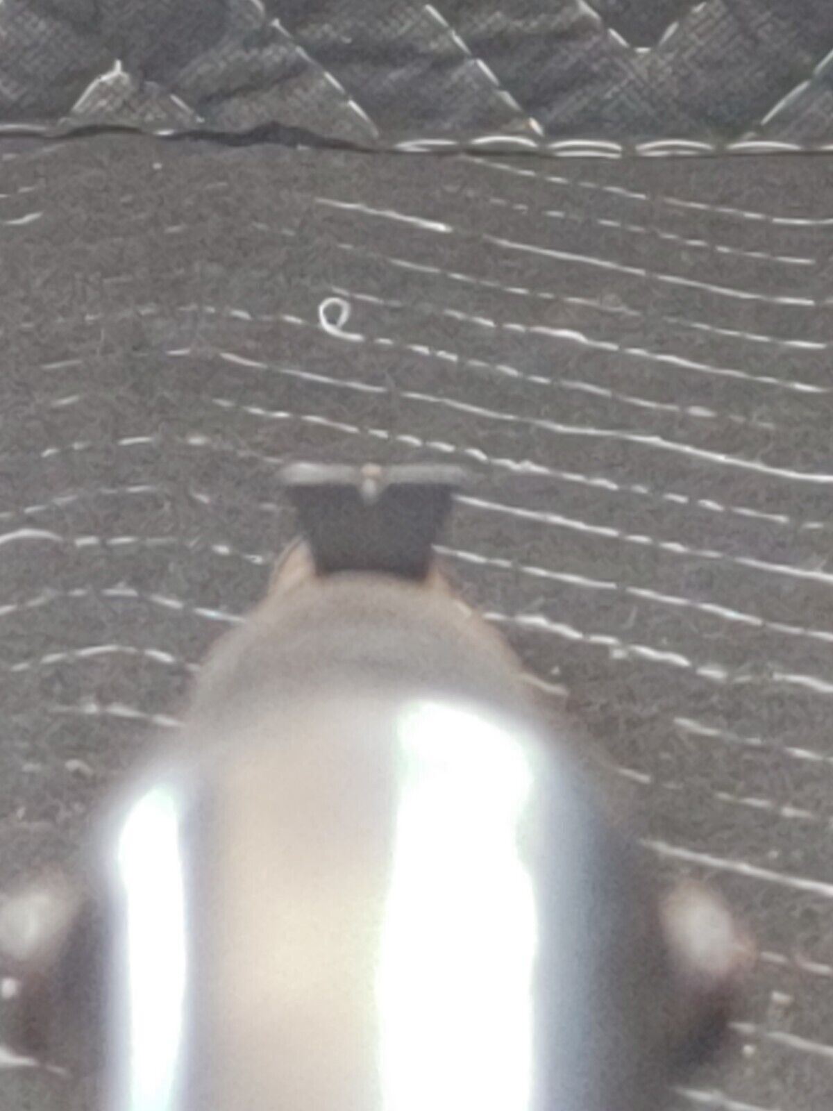 Vintage Slavia 612 Break Barrel BB Gun Made In Czechoslovakia Works