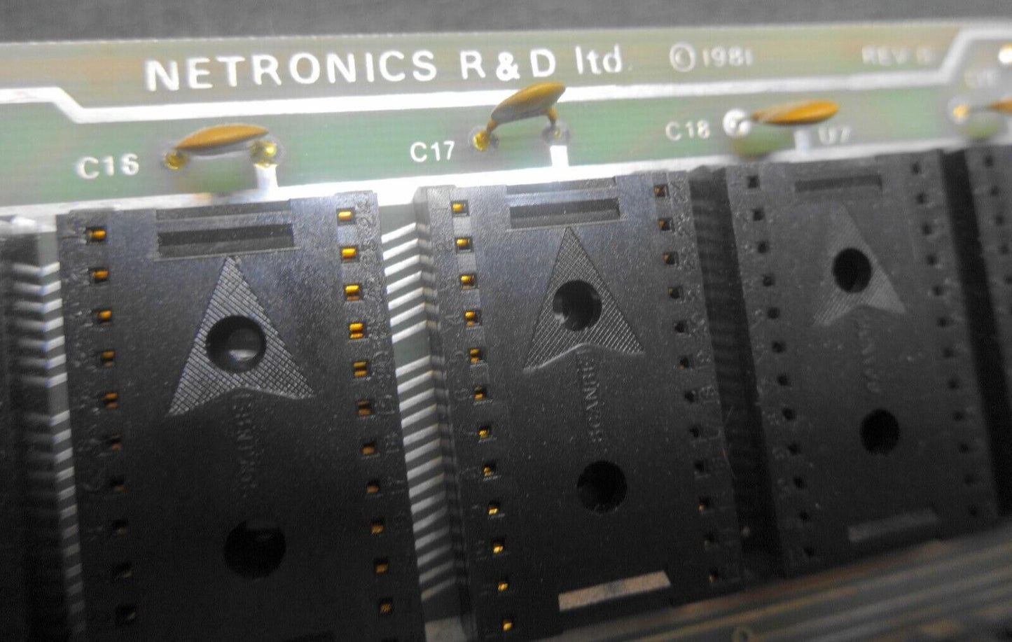 RARE NETRONICS R&D LTD 1981 S100 / TRS 80 ELECTRIC MOUTH - 1