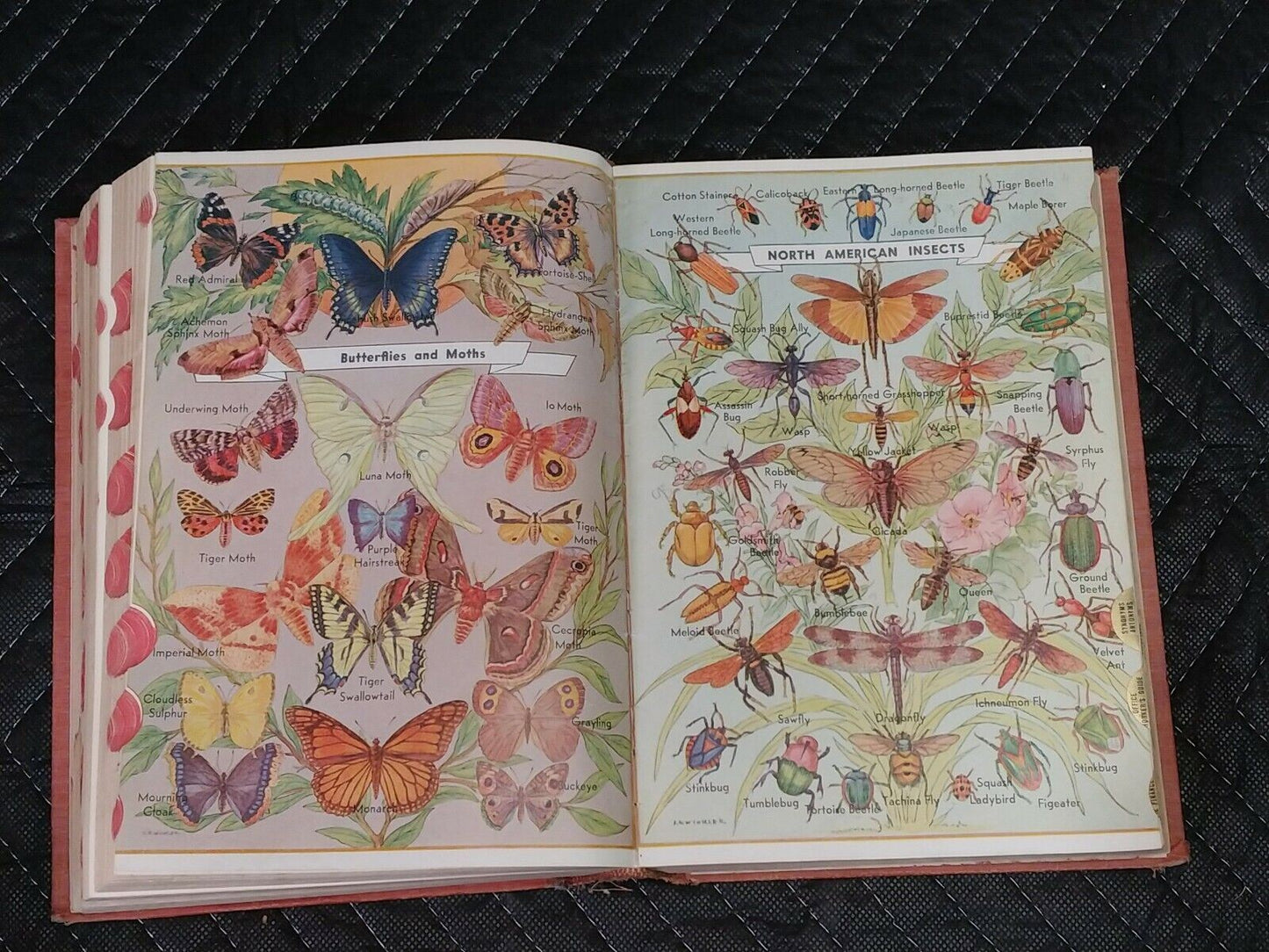 1941 Webster's Encyclopedic Dictionary by Columbia, Thumb-Indexed RED HARD COVER