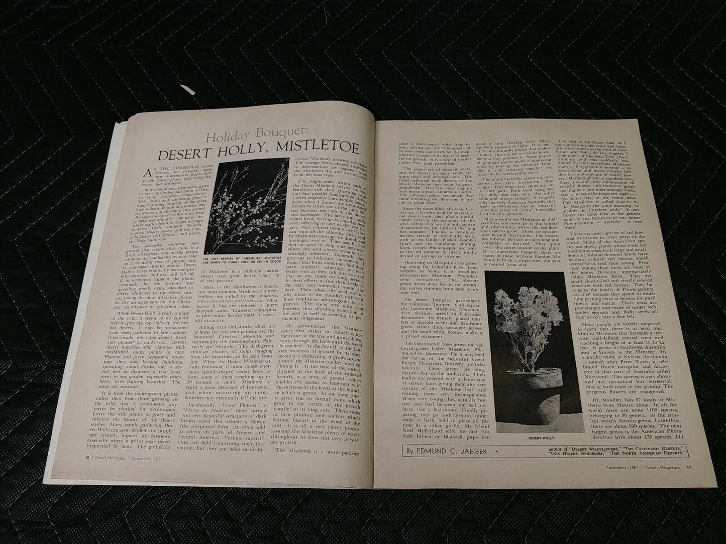 Vintage Desert Magazine December 1961