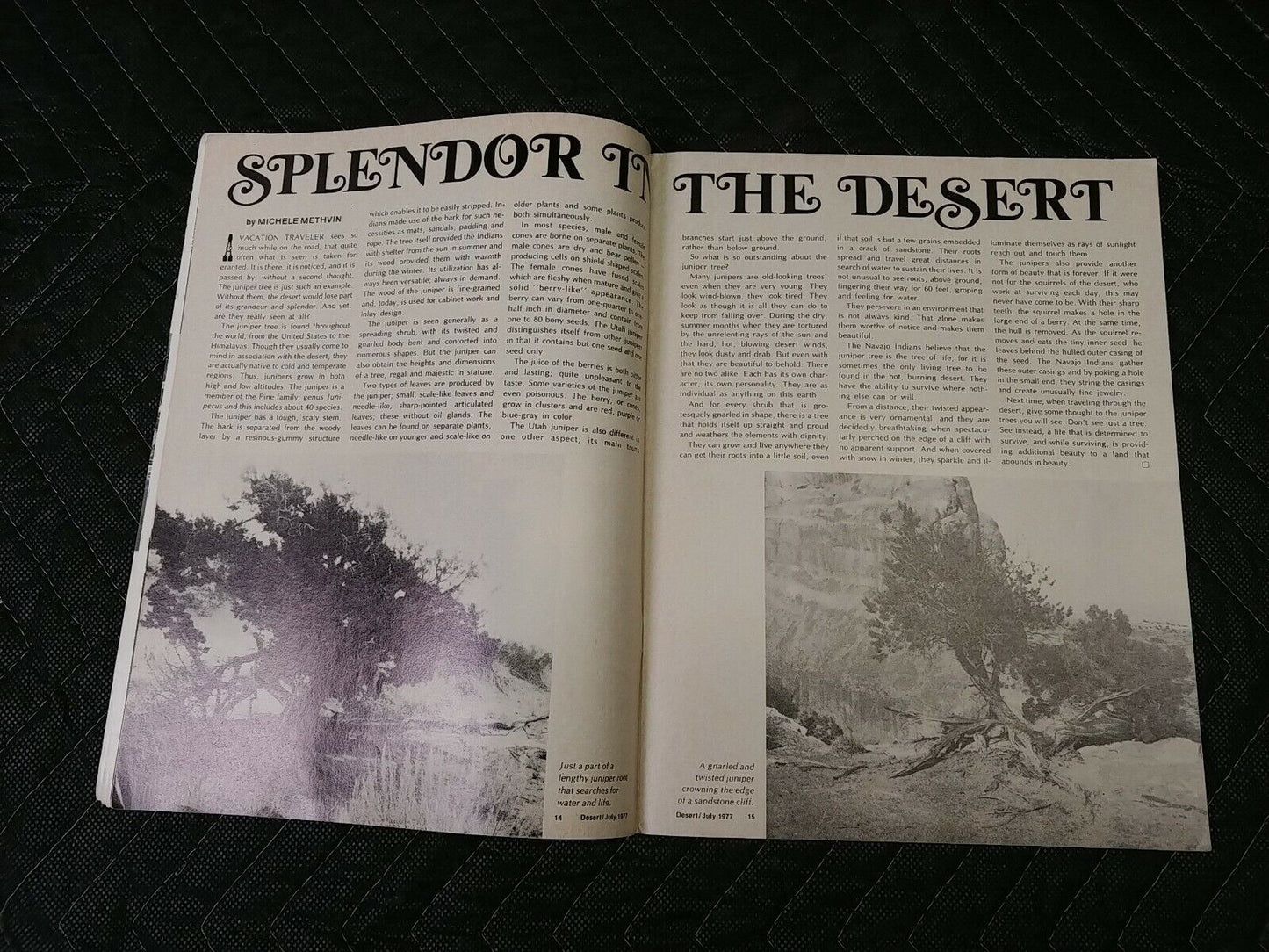 Vintage Desert Magazine July 1977
