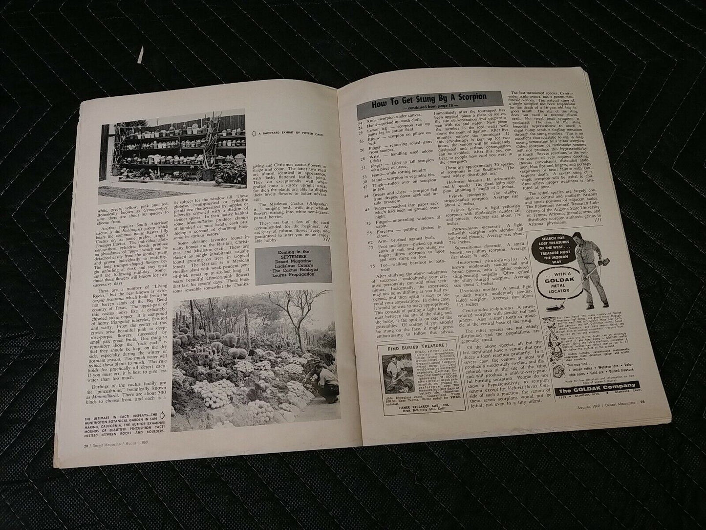 Vintage Desert Magazine August 1960