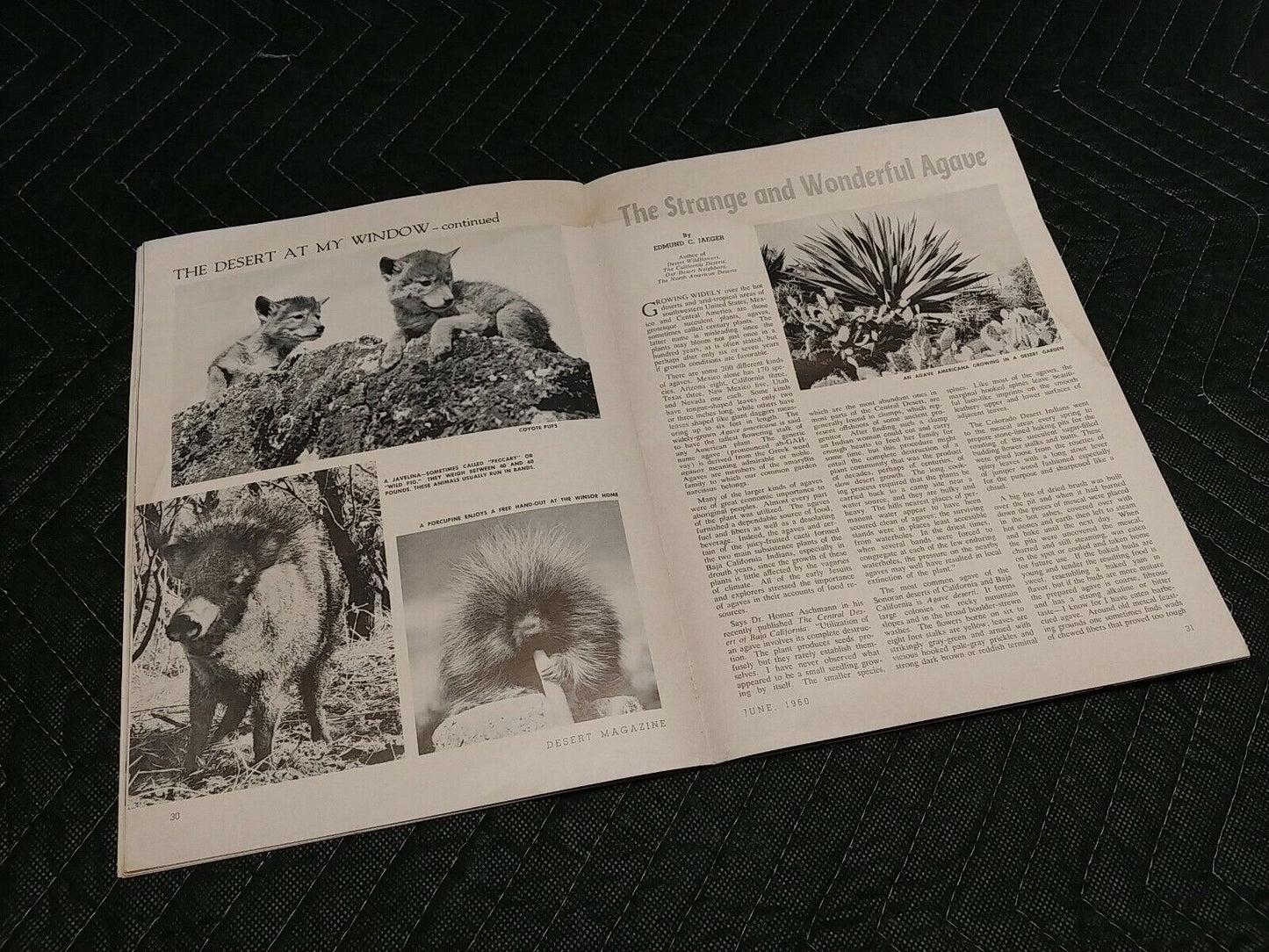 Vintage Desert Magazine June 1960