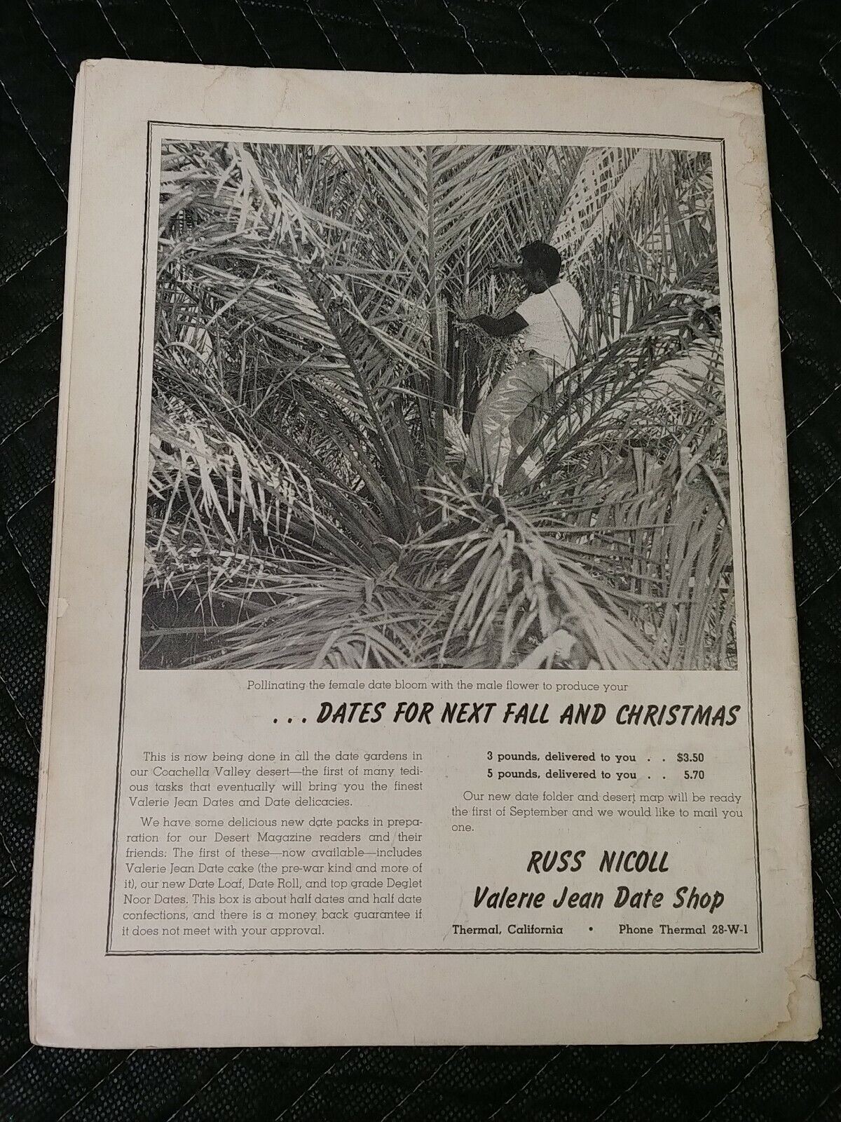 Vintage Desert Magazine June 1948