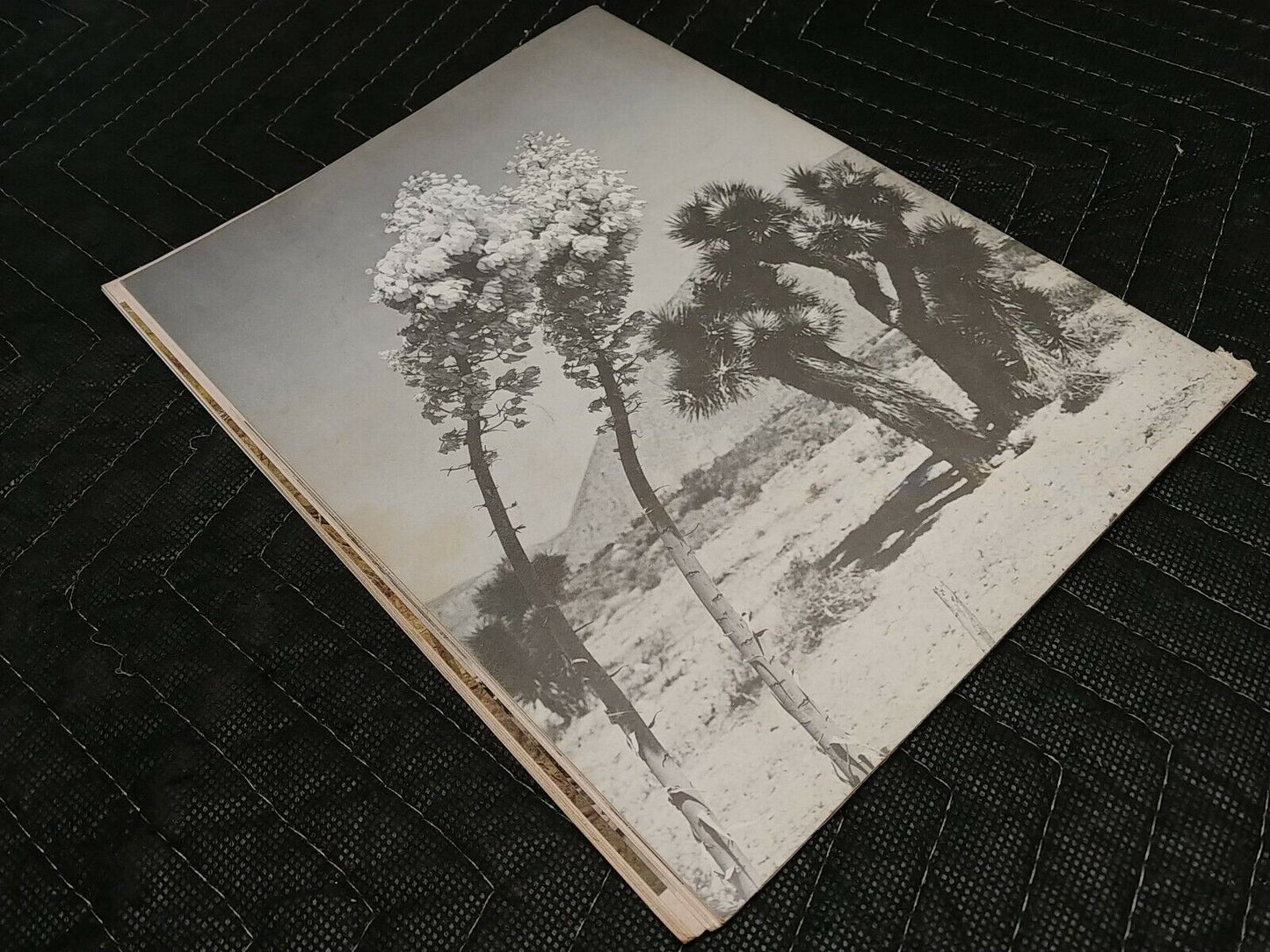 Vintage Desert Magazine April 1969