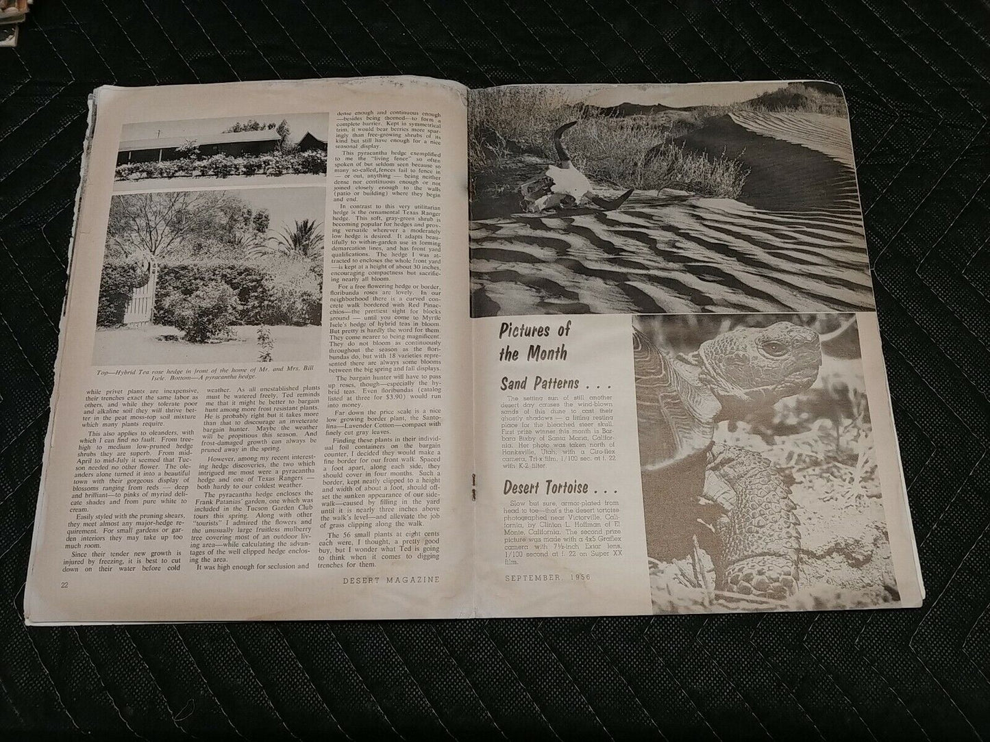 Vintage Desert Magazine September 1956
