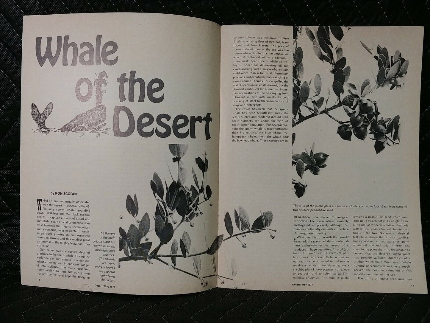 Vintage Desert Magazine May 1977