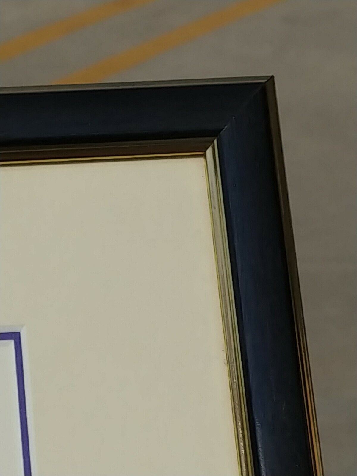 Carl Reiner - Honoris Causa granted from New England Institute of Technology