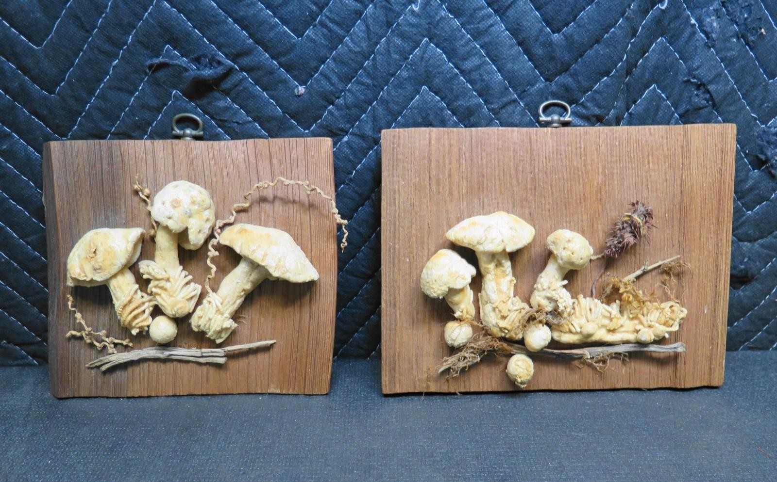 Pair of Mushrooms mounted on Wood Shingle Wall Decor