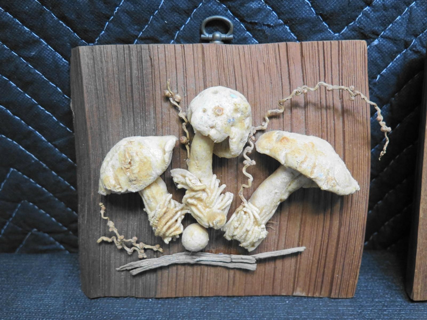 Pair of Mushrooms mounted on Wood Shingle Wall Decor
