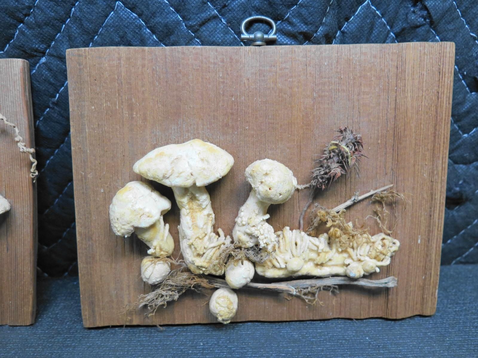 Pair of Mushrooms mounted on Wood Shingle Wall Decor