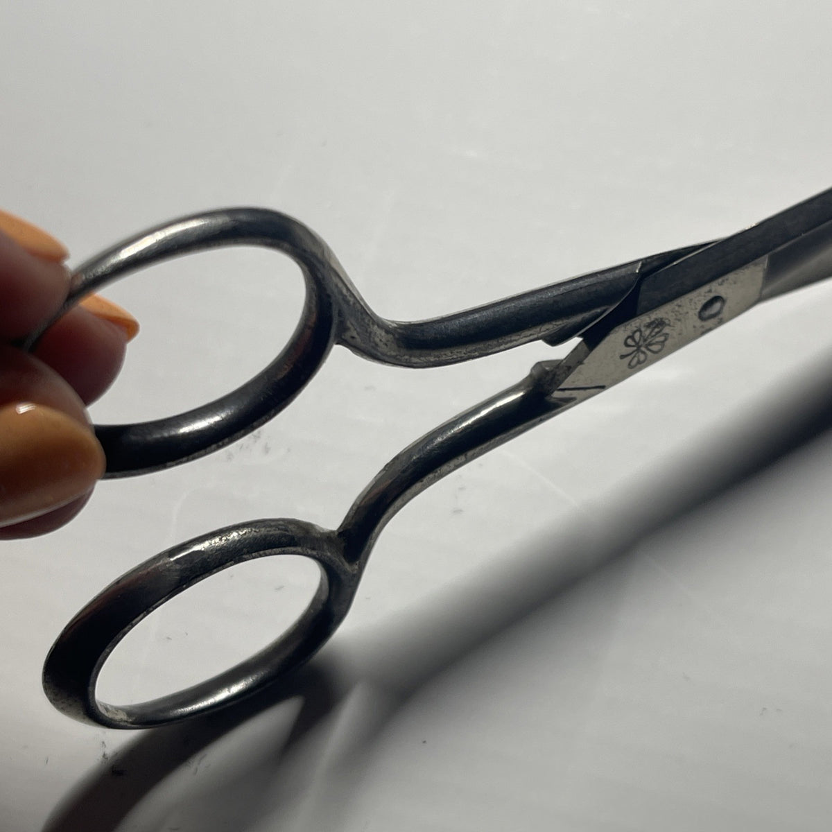 Rare Vintage W.H. Morley & Sons Scissors W/ 4 Leaf Clover Stamp Made in Germany