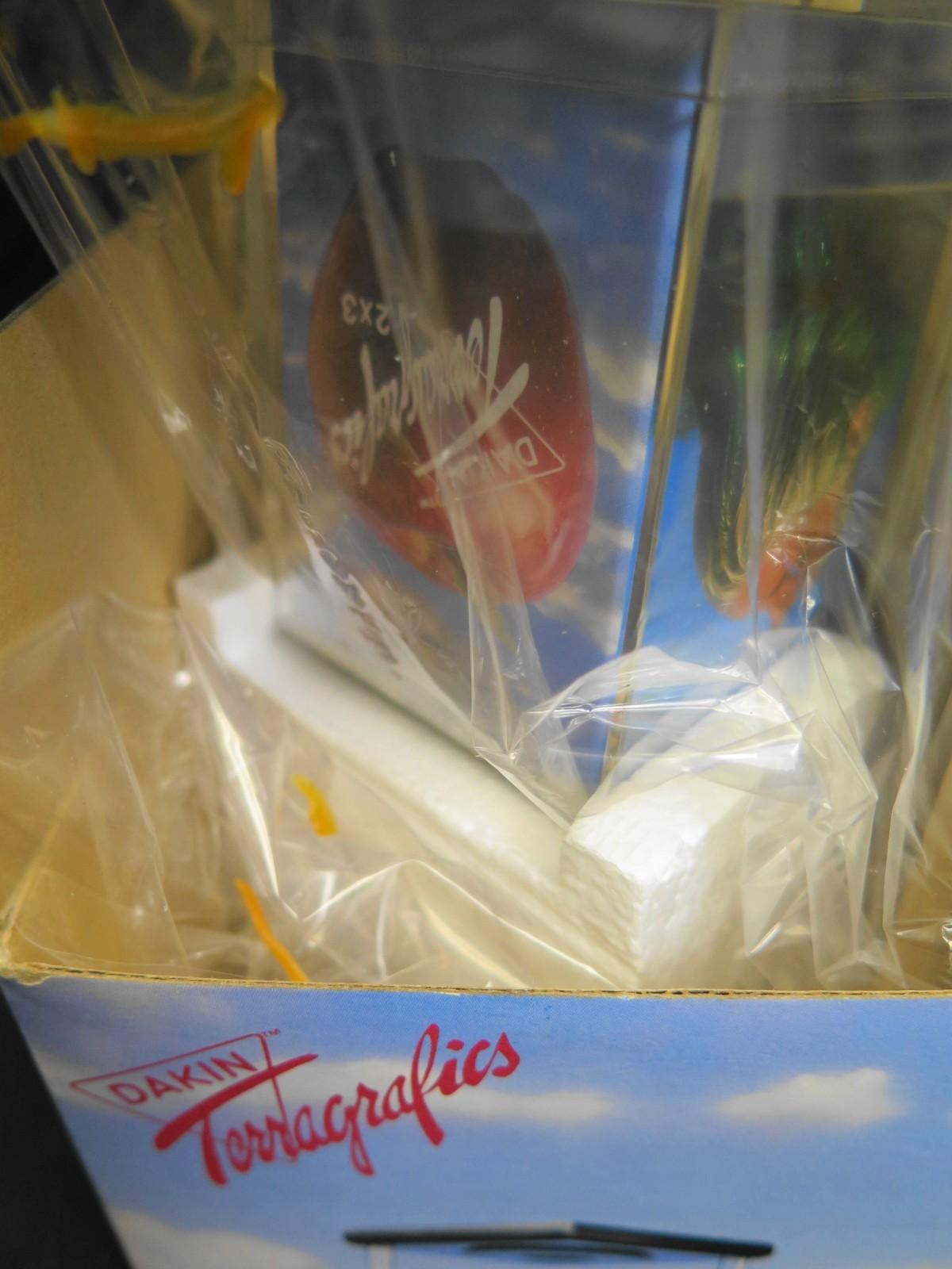 Vintage Dakin Terragrapics Newton Floating Picture Cube - NOS New Old Stock