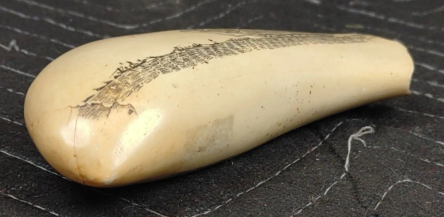 Artex Henry Ford Museum Replica Faux Engraved Sperm Whale Tooth Scrimshaw