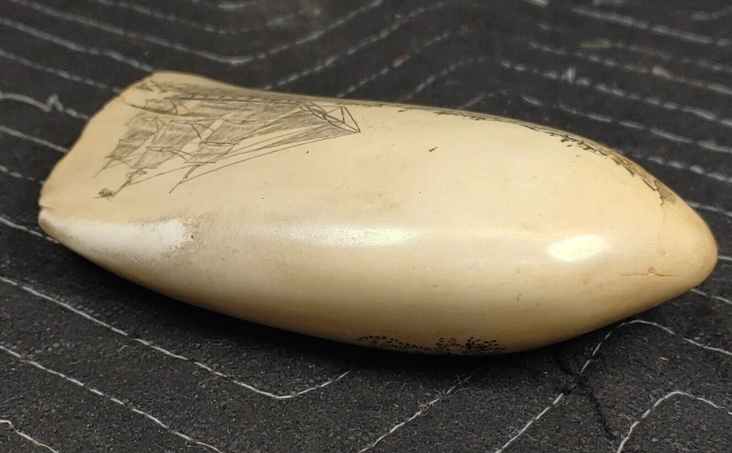 Artex Henry Ford Museum Replica Faux Engraved Sperm Whale Tooth Scrimshaw