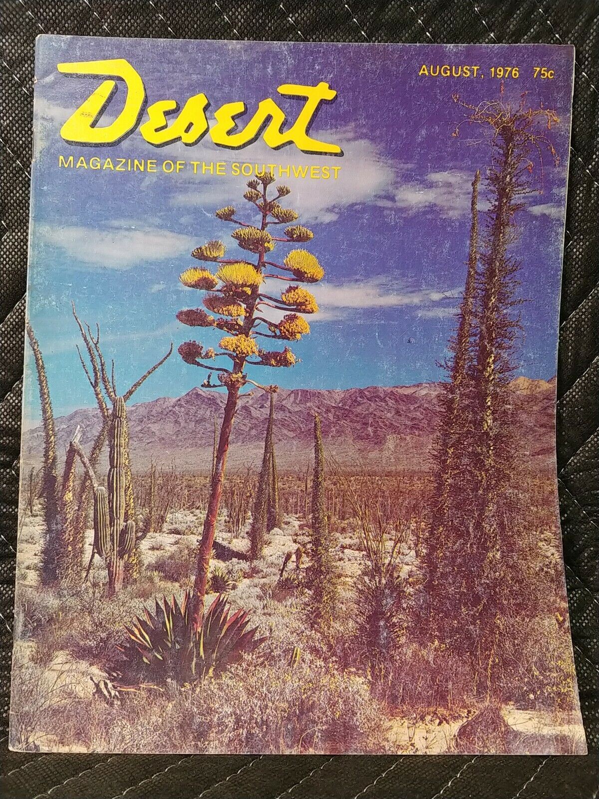 Vintage Desert Magazine August 1976