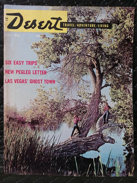 Vintage Desert Magazine July 1965