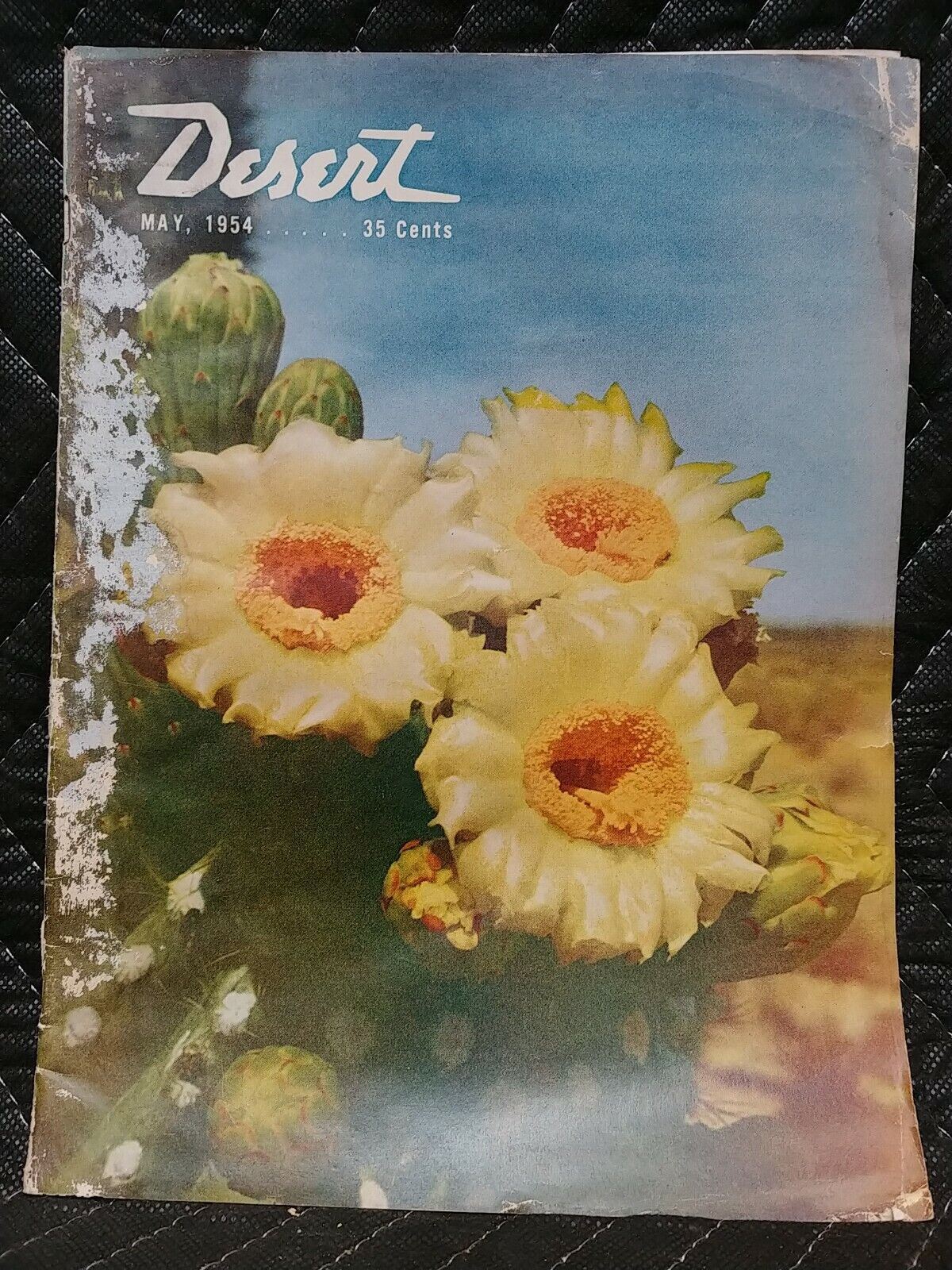 Vintage Desert Magazine May 1954