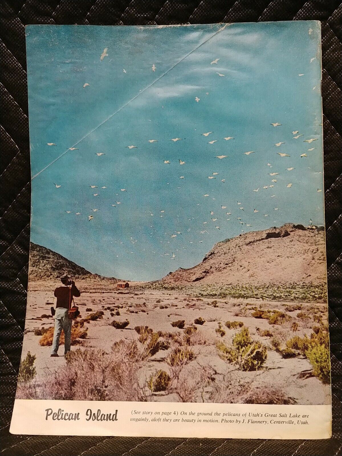 Vintage Desert Magazine September 1959