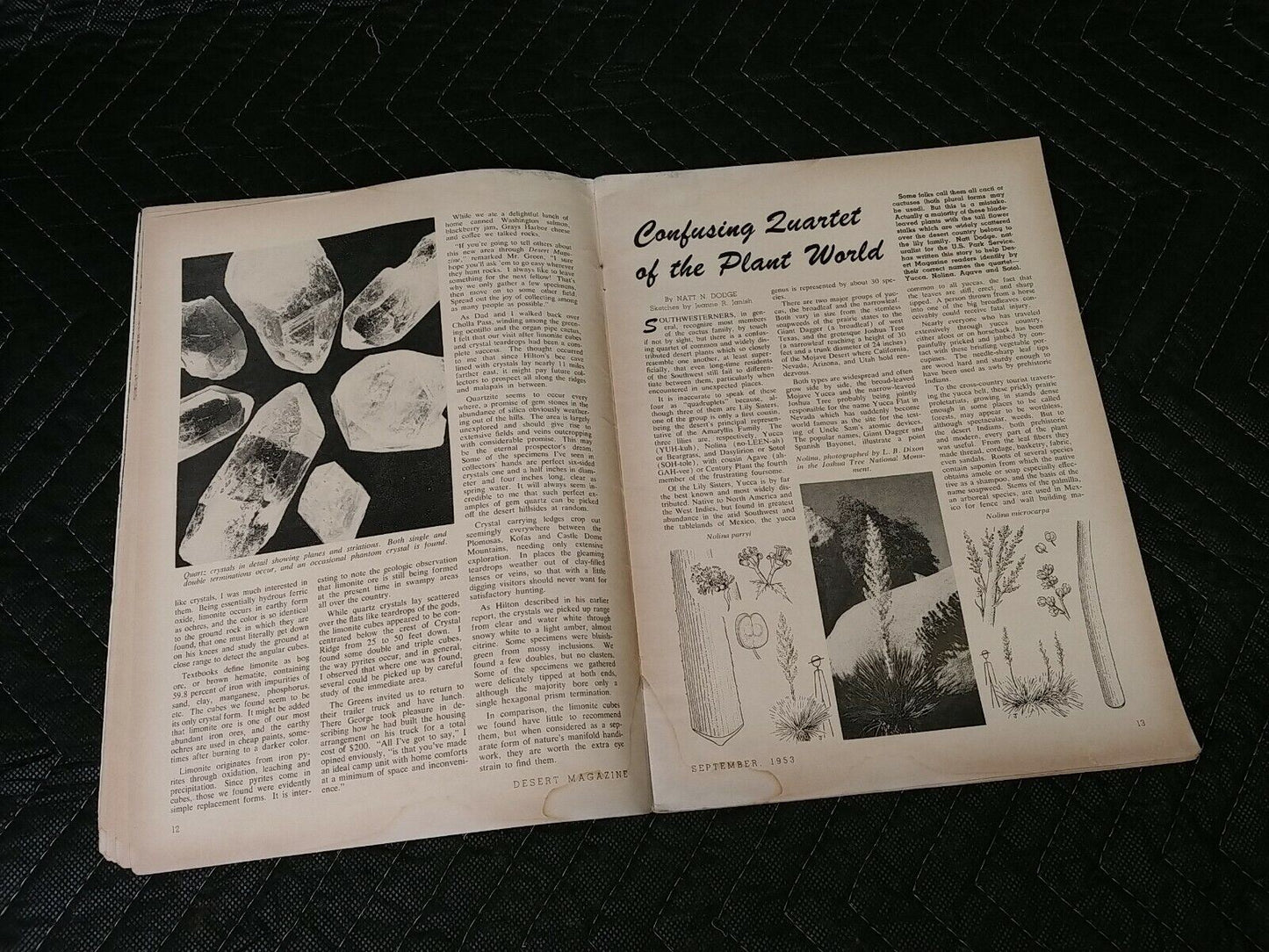 Vintage Desert Magazine September 1953