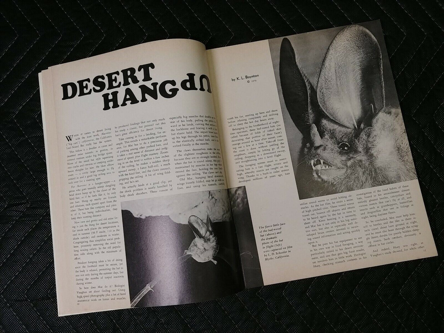 Vintage Desert Magazine May 1970