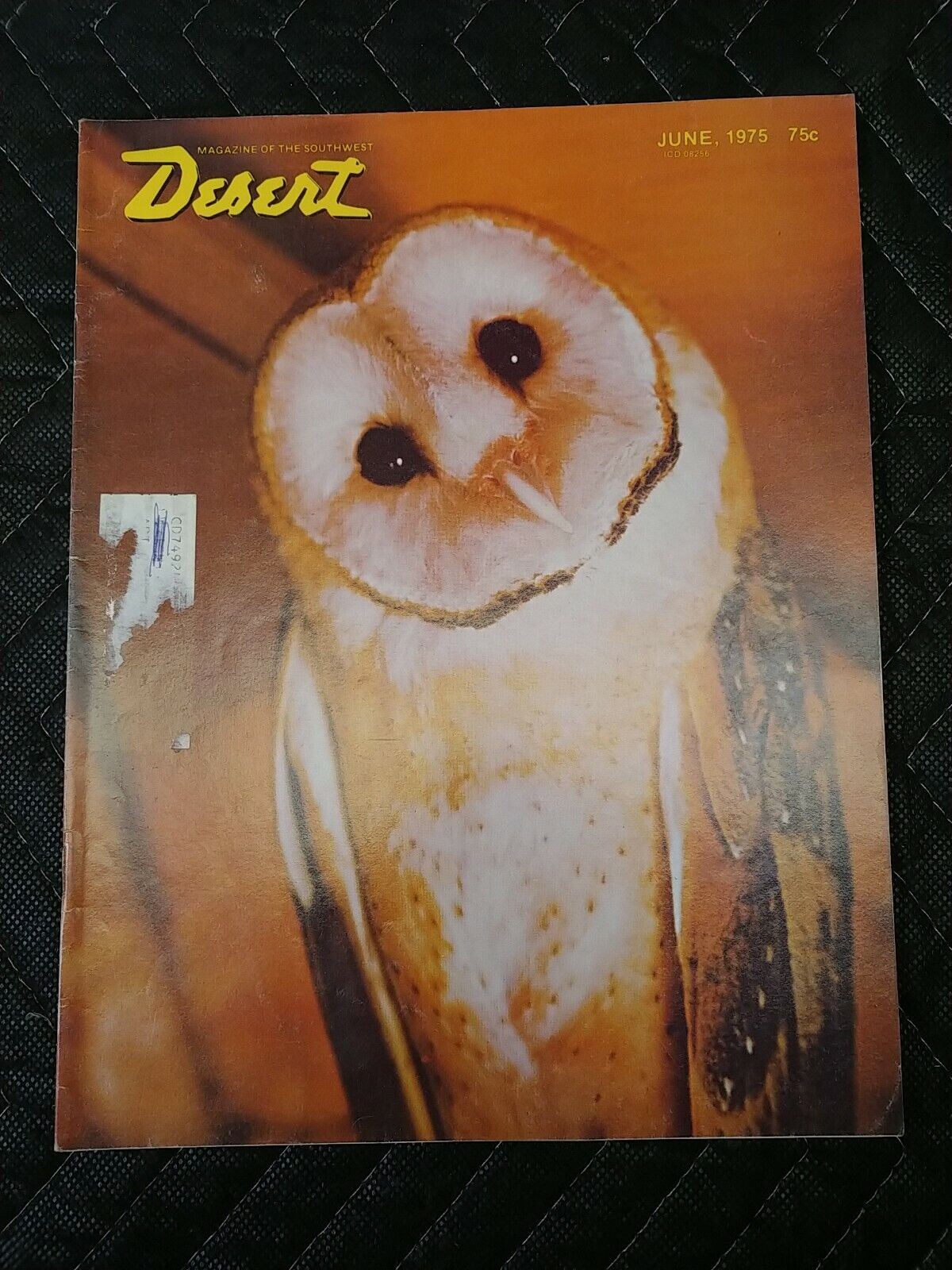 Vintage Desert Magazine June 1975