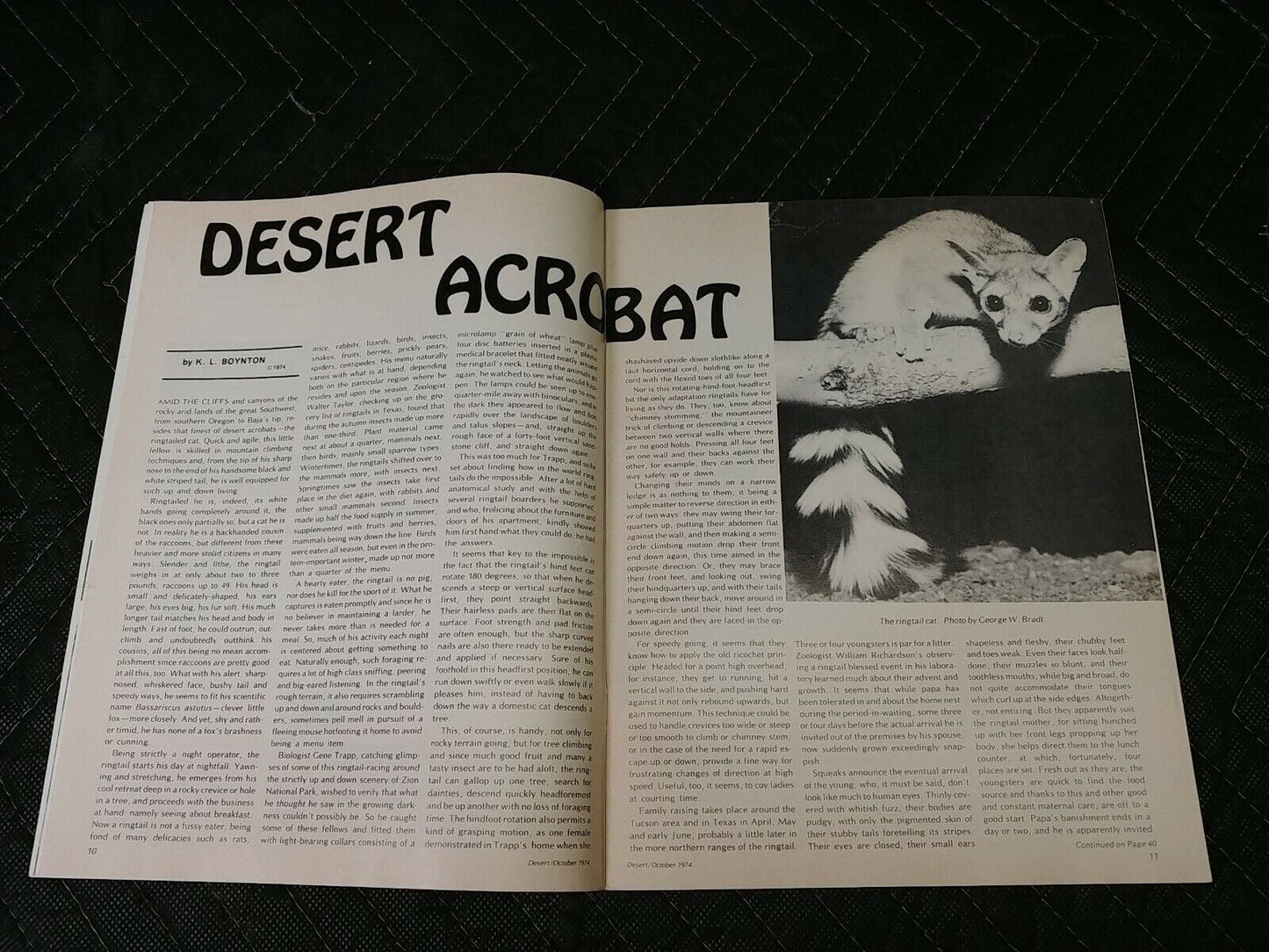 Vintage Desert Magazine October 1974