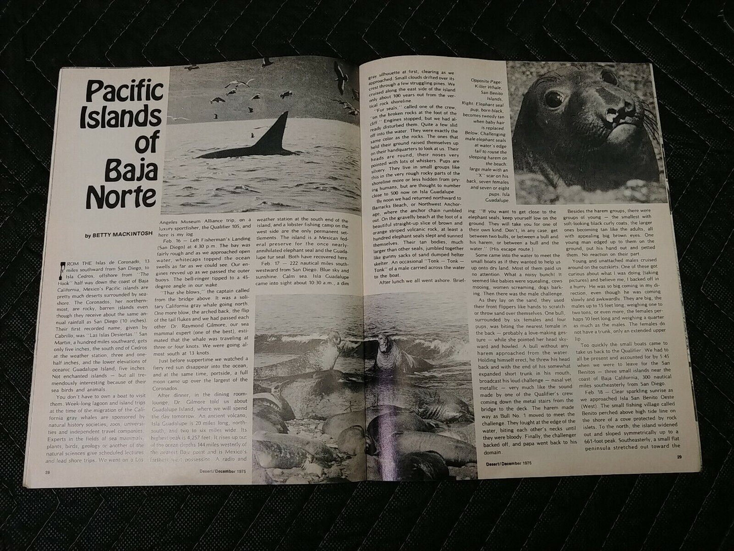 Vintage Desert Magazine December 1978