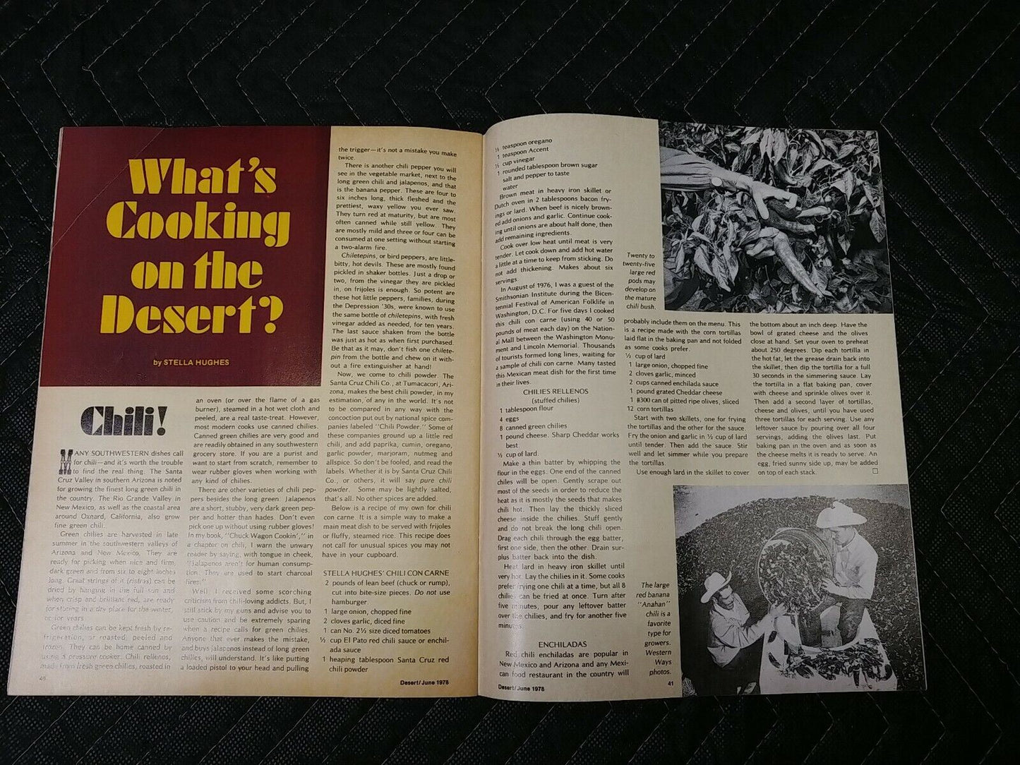 Vintage Desert Magazine June 1978
