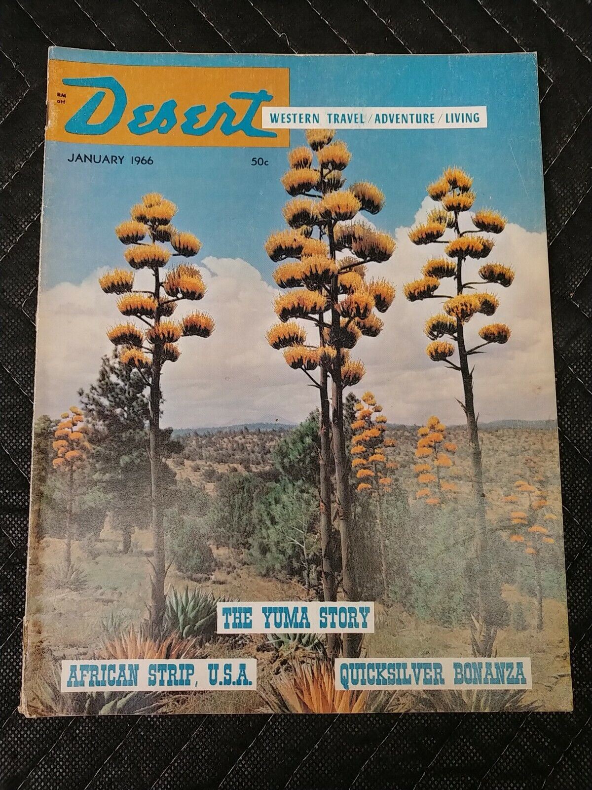 Vintage Desert Magazine January 1966