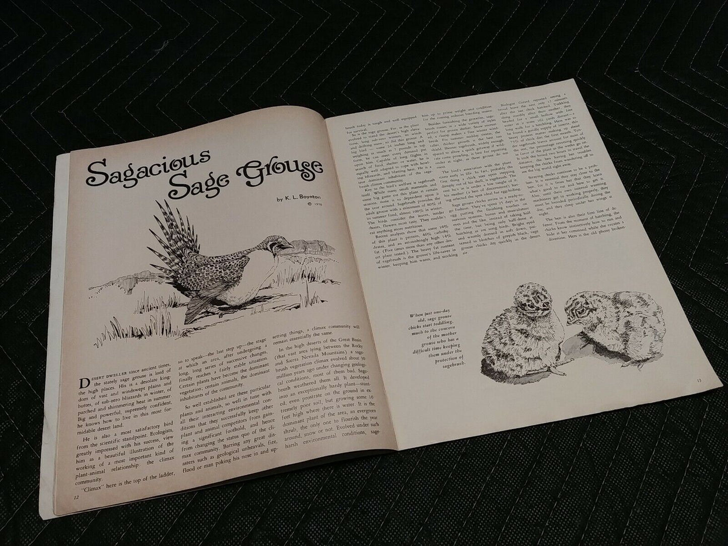 Vintage Desert Magazine October 1970