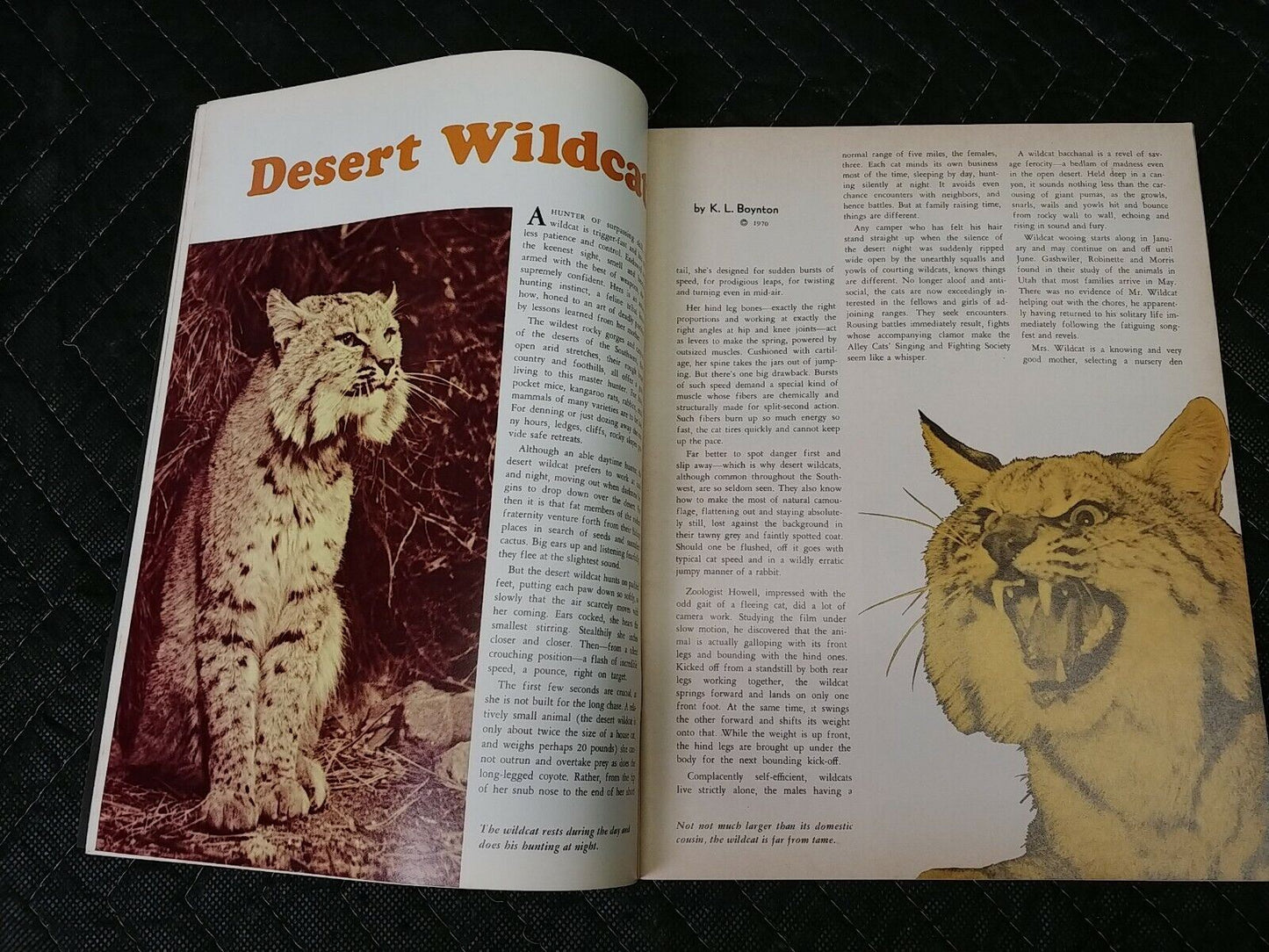 Vintage Desert Magazine August 1970