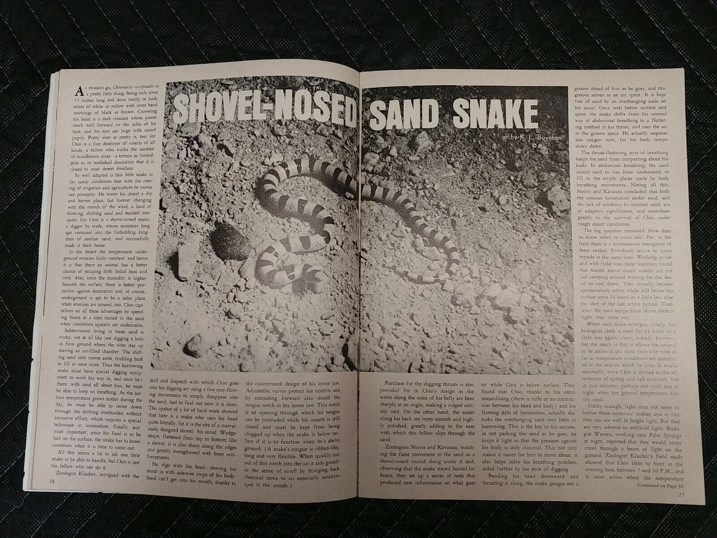 Vintage Desert Magazine September 1972