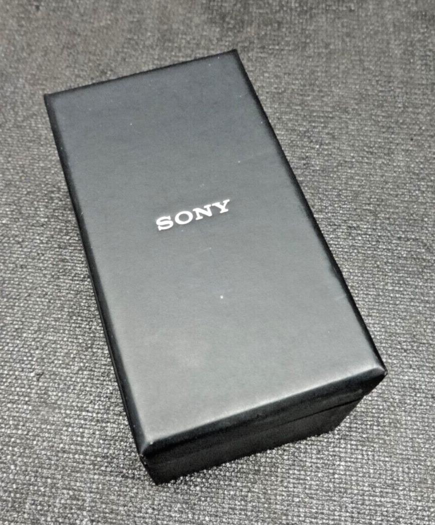 Sony MHS-TS10 Silver Bloggie Touch Mobile HD Snap Camera - 4 GB of Memory